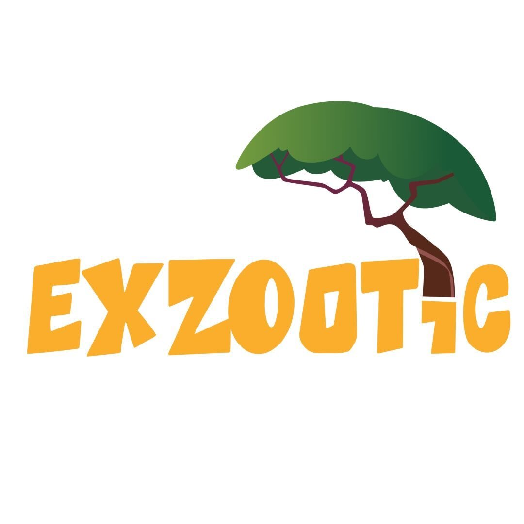 Exzootic